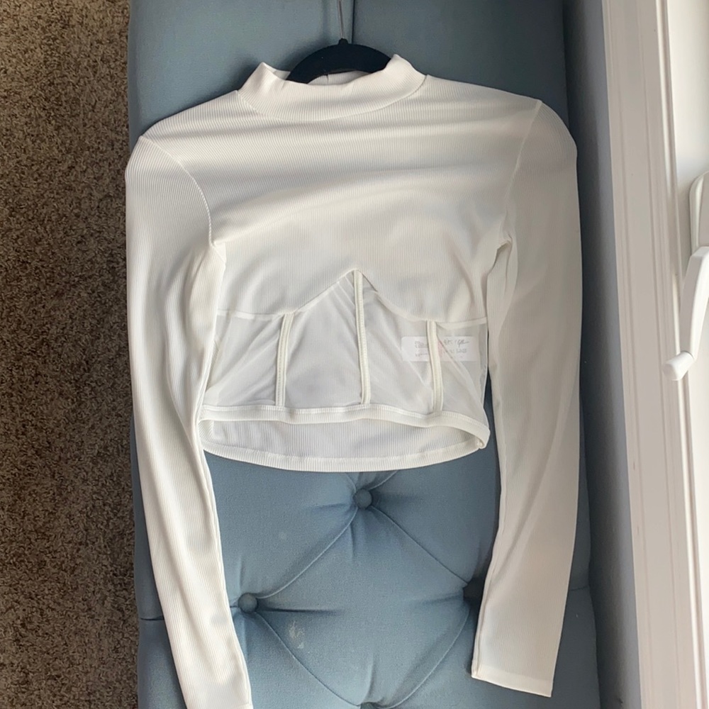 Nasty gal long sleeve crop